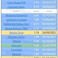 01 Promoções-Descontos-45316.jpg